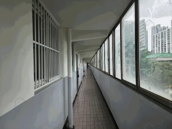 관련사진