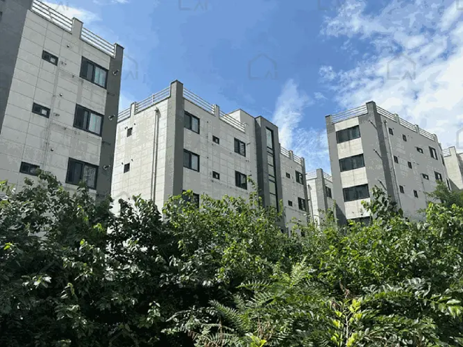 B000285202501300516668.jpg