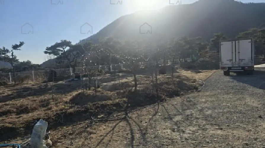관련사진
