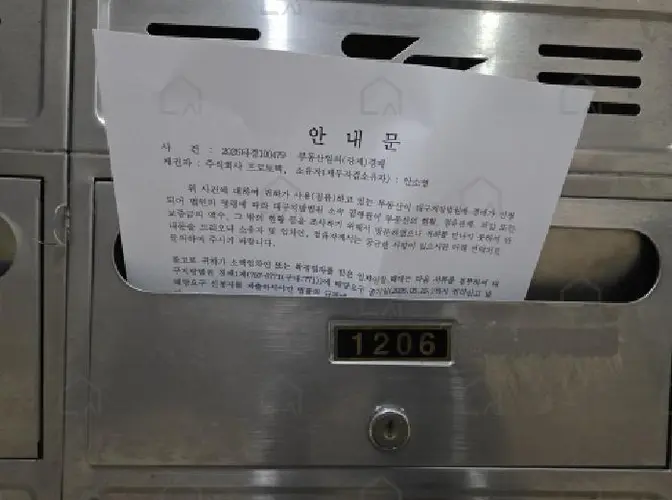 관련사진