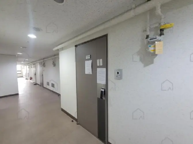 관련사진