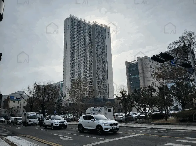 관련사진