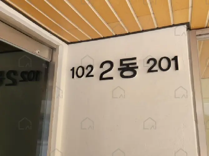 B000310202501300008874.jpg