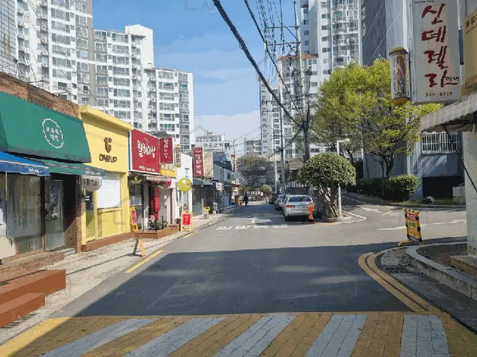 관련사진