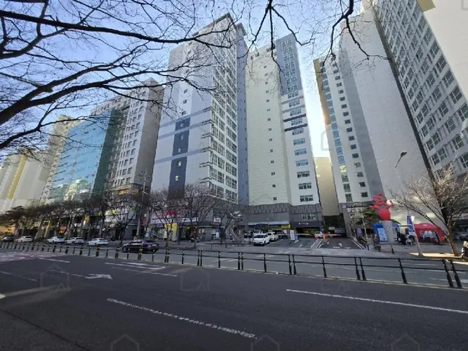 관련사진