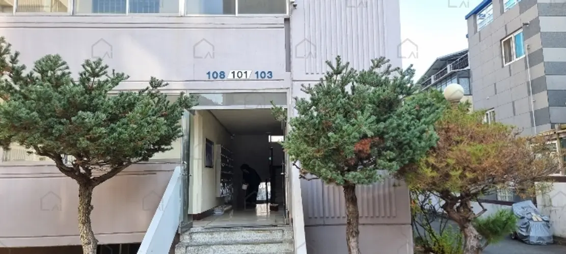 관련사진