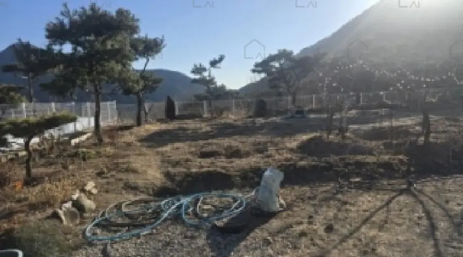 관련사진
