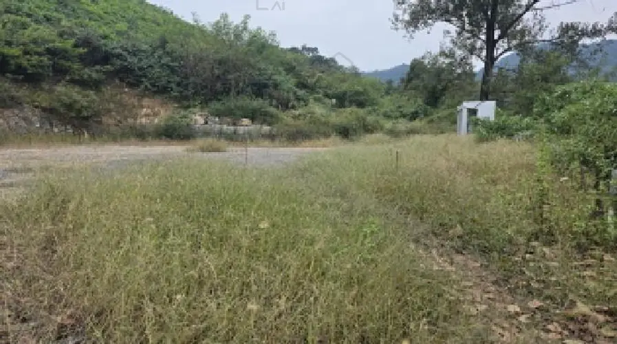 B0003102025013000881820.jpg