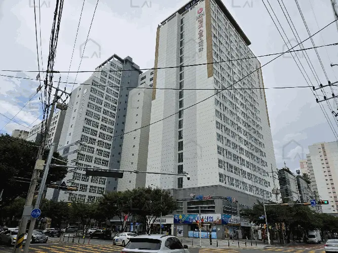 관련사진
