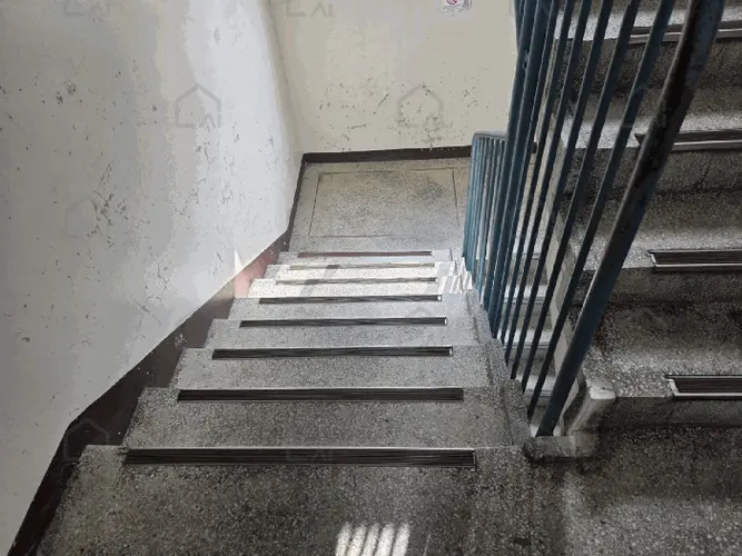 관련사진