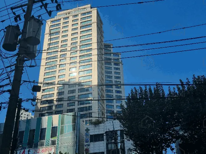 관련사진