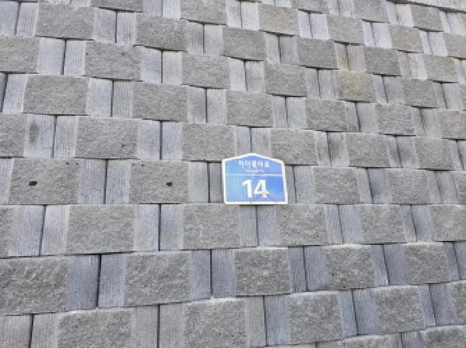 B0003102025013000988114.jpg