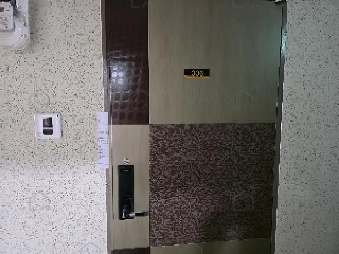 관련사진