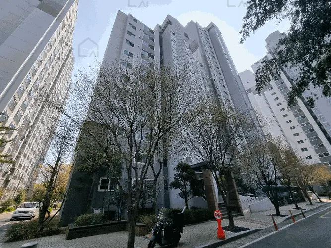 관련사진