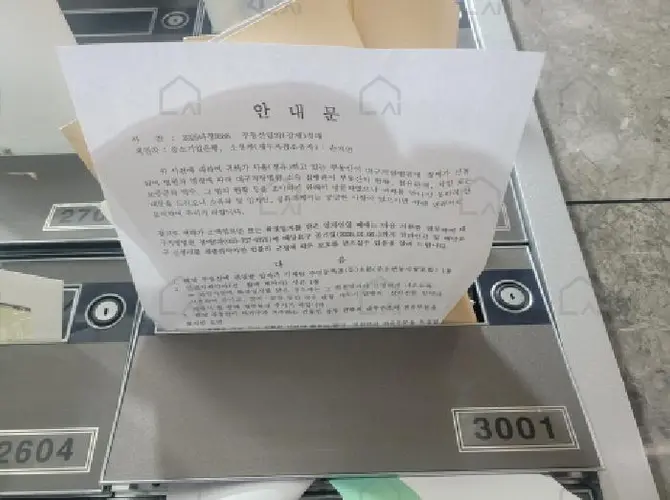 관련사진