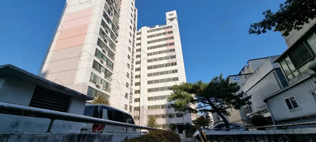 관련사진