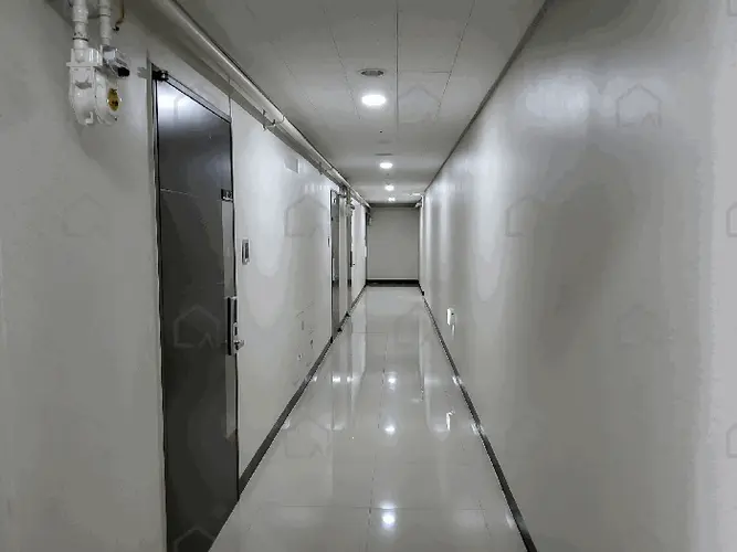 관련사진