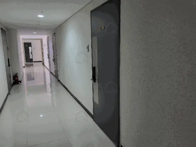 관련사진