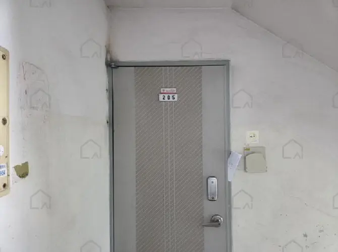 관련사진