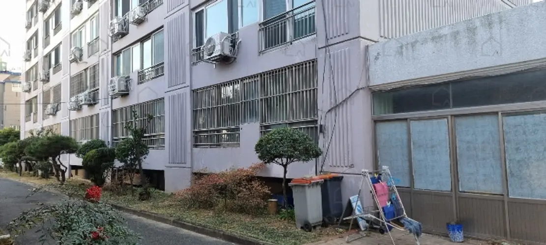 관련사진