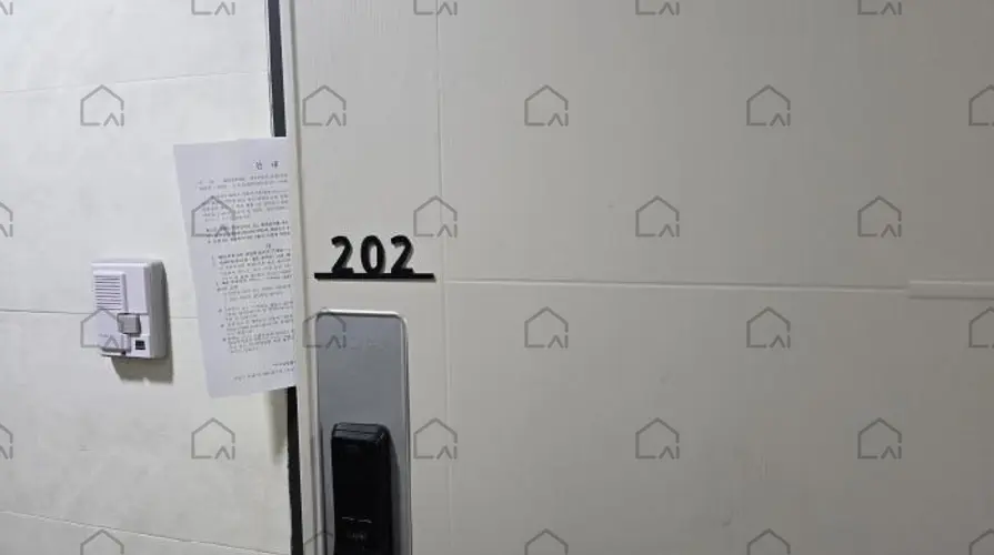 B000310202501300079474.jpg