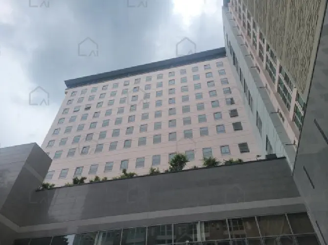 관련사진