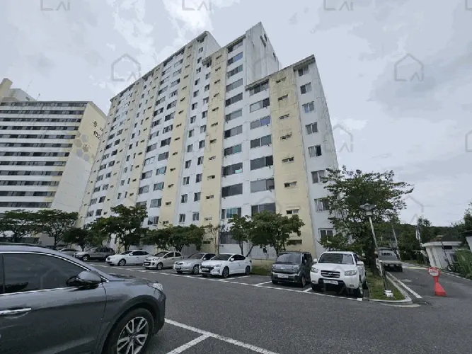 B000311202501301005165.jpg