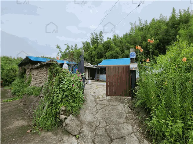 B000312202501300106288.jpg