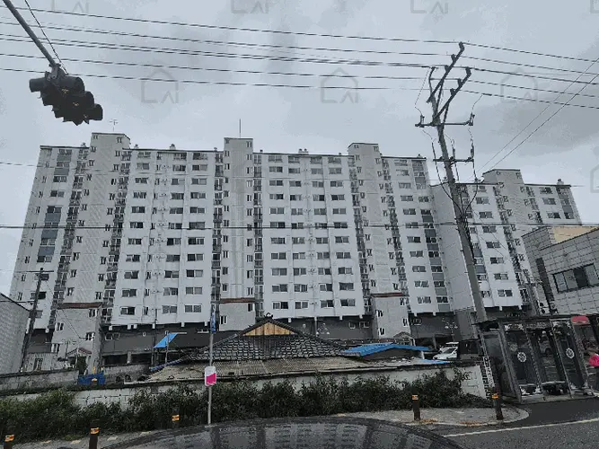 관련사진