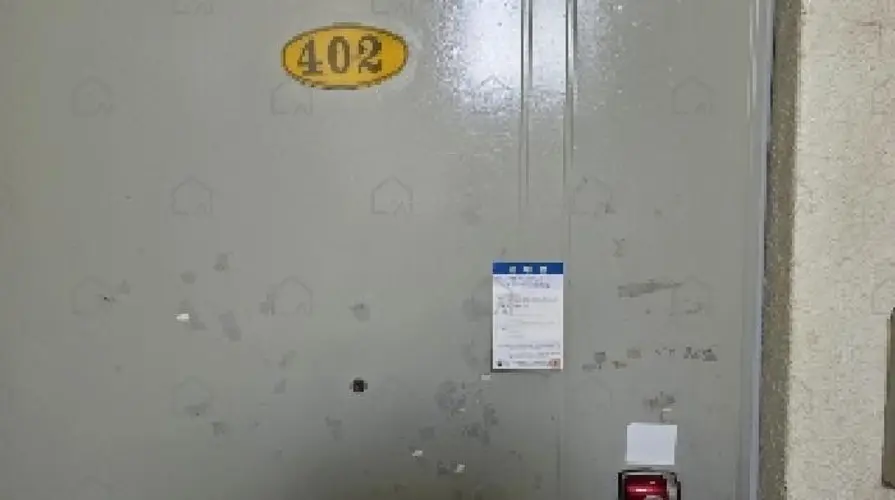 B000313202501300111323.jpg