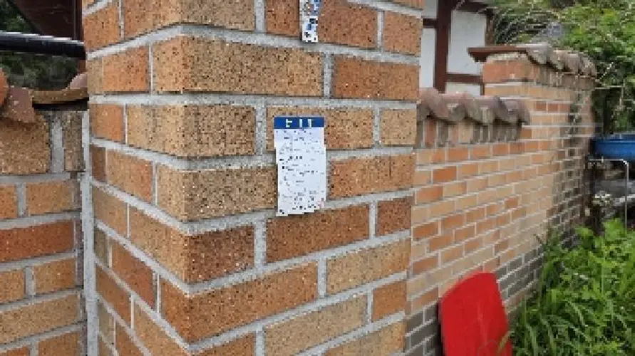 B000313202501300110273.jpg