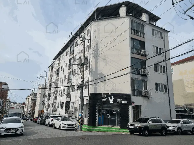 관련사진