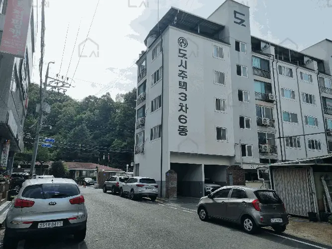 관련사진