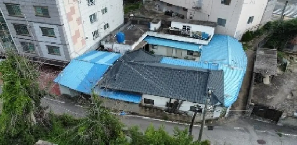 B000313202501300003904.jpg