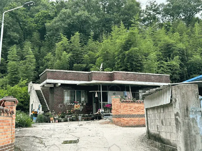 B000313202501300110275.jpg