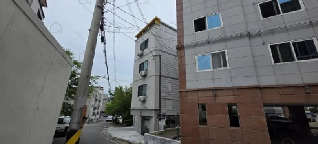 B000313202501300110473.jpg