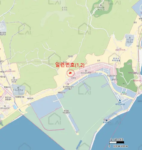 관련사진