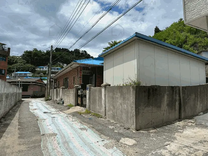 관련사진