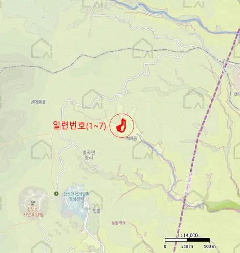 B000316202501300102254.jpg