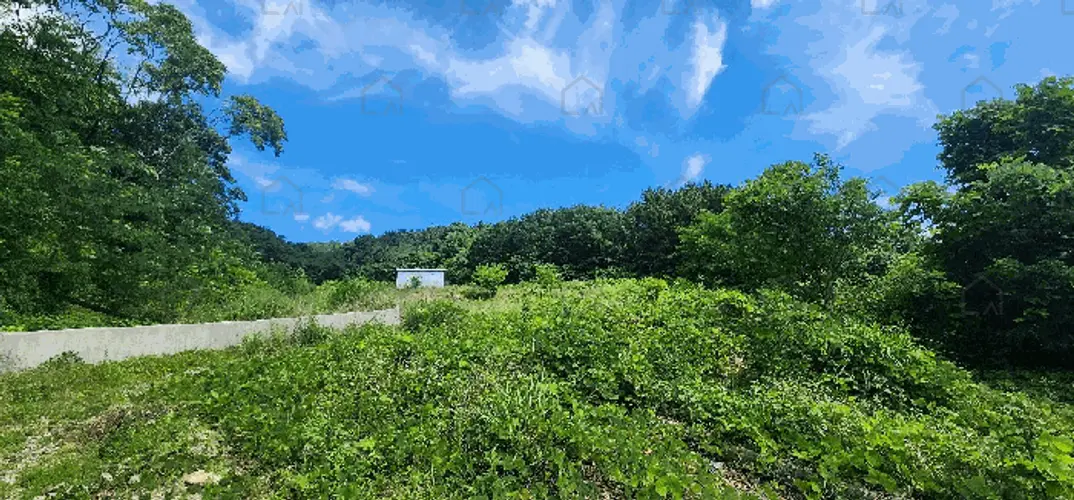 B000316202501300102767.jpg