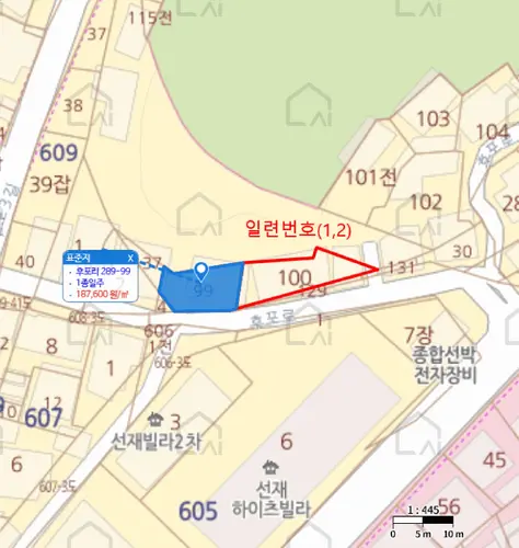 관련사진
