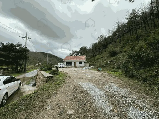B000316202501300009295.jpg