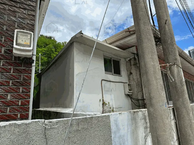 관련사진