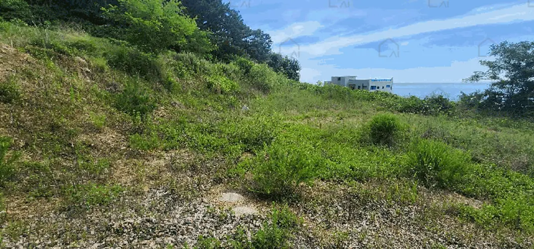 B000316202501300102766.jpg