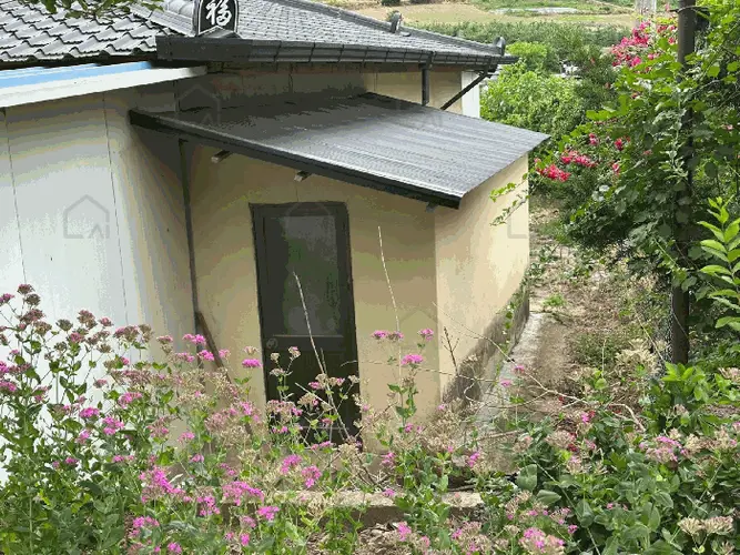 B000316202501300005474.jpg