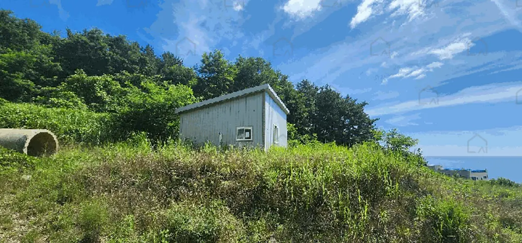 B000316202501300102764.jpg