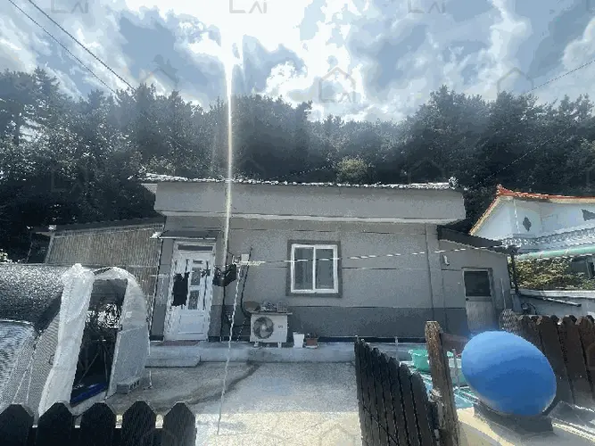 B000316202501300102937.jpg