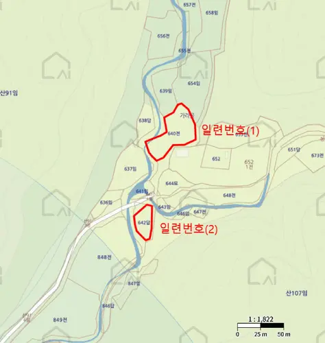 B000316202501300005477.jpg