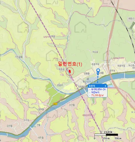 B000316202501300009294.jpg