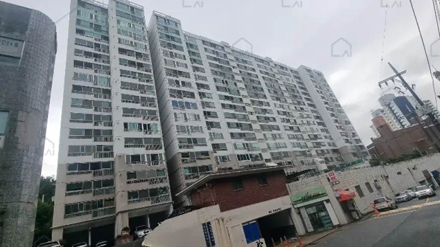 관련사진